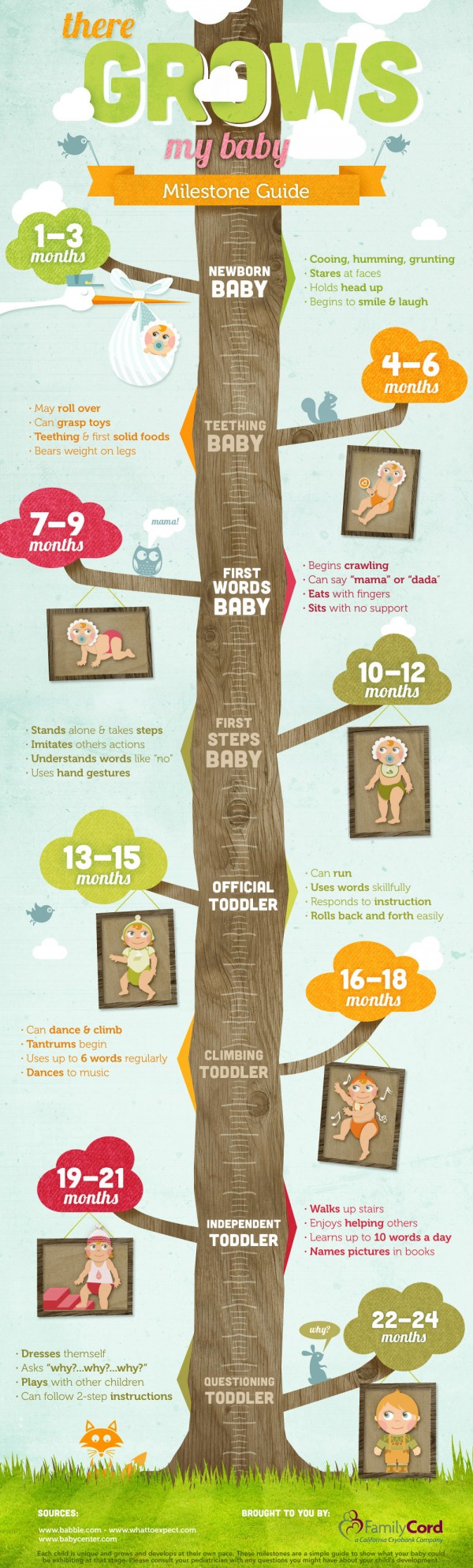 The Ultimate Guide to Your Baby’s Development
